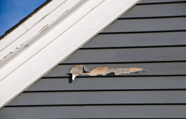 Best Insulated Siding Installation  in Portage, PA